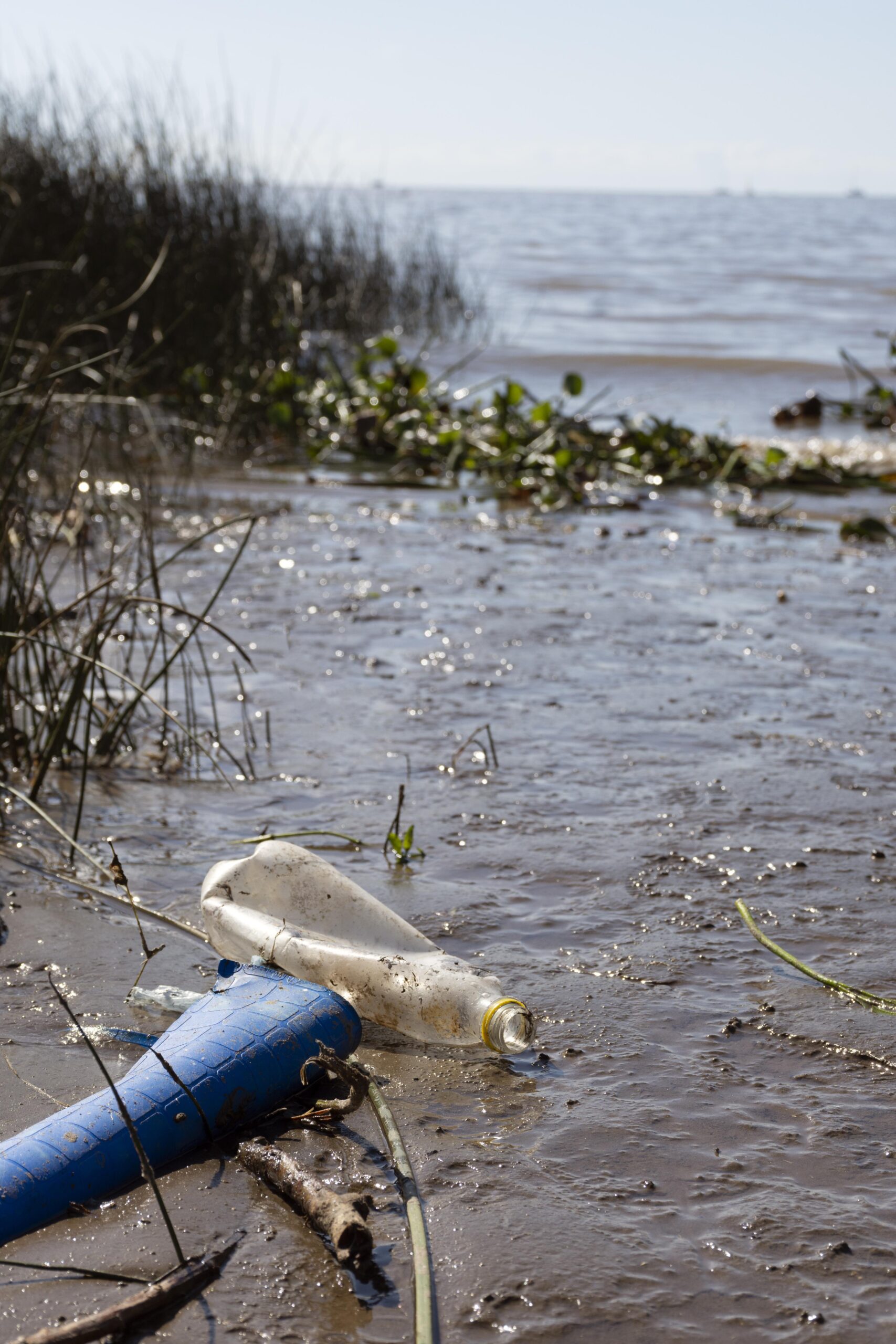 pollution-concept-water-with-garbage